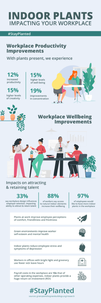 infographic indoor plants workplace impact stayplanted