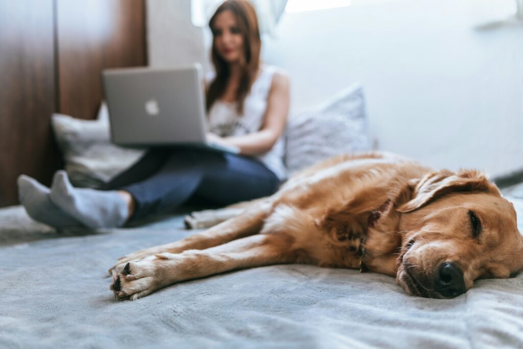 avantages télétravail libre et flexible